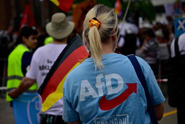 Supporters of the far-right Alternative for Germany (AfD) party hold a campaign rally in front ot the Berlin City Hall on June 29, 2026. (Photo by Tobias SCHWARZ / AFP)