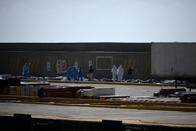 EDITORS NOTE: Graphic content / Forensic experts carry out body identification work on corpses laid out on the ground at a makeshift morgue in the port of La Guaira, La Guaira State, Venezuela on June 29, 2026, days after twin earthquakes struck the country. Hopes were fading on June 29, 2026 of finding survivors more than four days after powerful twin earthquakes struck Venezuela, as residents grow increasingly frustrated with the government's response to the disaster that has killed at least 1,450 people and left tens of thousands unaccounted for. (Photo by Federico PARRA / AFP)