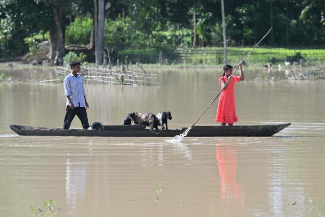 Villagers row a boat carrying their cattle through floodwaters in Dhemaji on June 30, 2026. (Photo by Biju BORO / AFP)