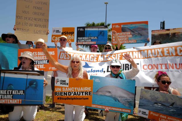 Activists from 'One Voice' hold pacards at the entrance of the Marineland in Antibes, Southeastern France, on July 01, 2026, to demand a sanctuary for the orcas Wikie and Keijo and the park's last twelve dolphins. (Photo by Valery HACHE / AFP)