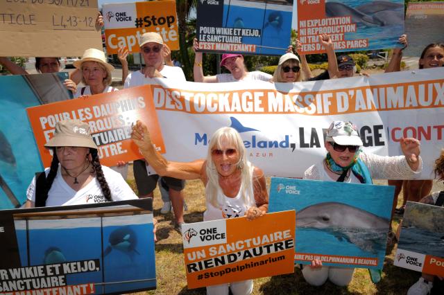 Activists from 'One Voice' hold pacards at the entrance of the Marineland in Antibes, Southeastern France, on July 01, 2026, to demand a sanctuary for the orcas Wikie and Keijo and the park's last twelve dolphins. (Photo by Valery HACHE / AFP)