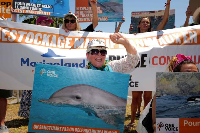 Activists from 'One Voice' hold pacards at the entrance of the Marineland in Antibes, Southeastern France, on July 01, 2026, to demand a sanctuary for the orcas Wikie and Keijo and the park's last twelve dolphins. (Photo by Valery HACHE / AFP)