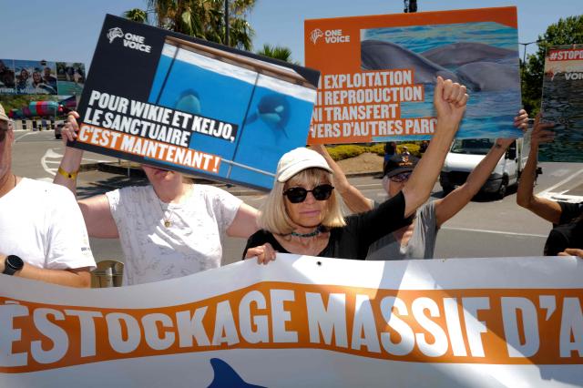 Activists from 'One Voice' hold pacards at the entrance of the Marineland in Antibes, Southeastern France, on July 01, 2026, to demand a sanctuary for the orcas Wikie and Keijo and the park's last twelve dolphins. (Photo by Valery HACHE / AFP)