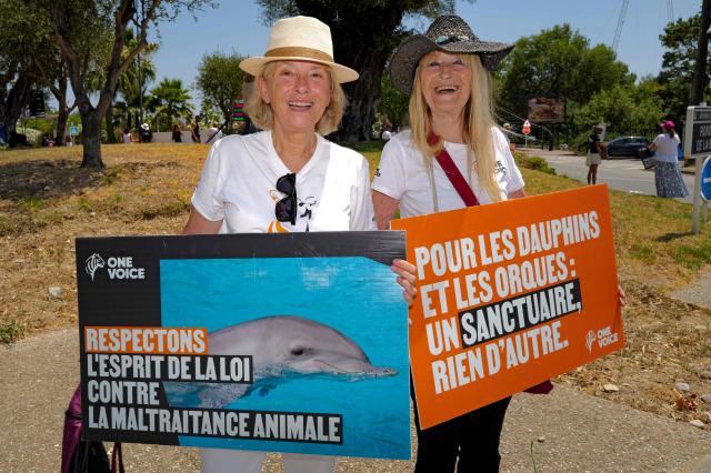 Activists from 'One Voice' pose with their pacards at the entrance of the Marineland in Antibes, Southeastern France, on July 01, 2026, to demand a sanctuary for the orcas Wikie and Keijo and the park's last twelve dolphins. (Photo by Valery HACHE / AFP)