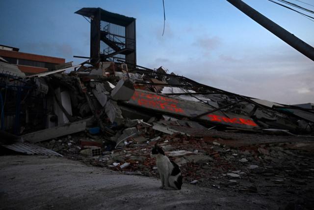 A cat sits in front of a collapsed building in Catia La Mar, La Guaira State, Venezuela on July 1, 2026, following the June 24 twin earthquakes. Hope of finding more survivors faded on July 1 as Venezuela marked a week since twin earthquakes killed almost 2,300 people, while many who lived through the disaster were running desperately short on food. (Photo by Federico PARRA / AFP)