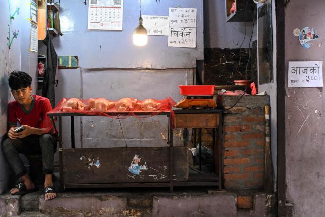 A vendor waits for a customer at a poultry shop in Kathmandu on July 2, 2026 amid a surge in bird flu cases in Nepal. (Photo by Prakash MATHEMA / AFP)