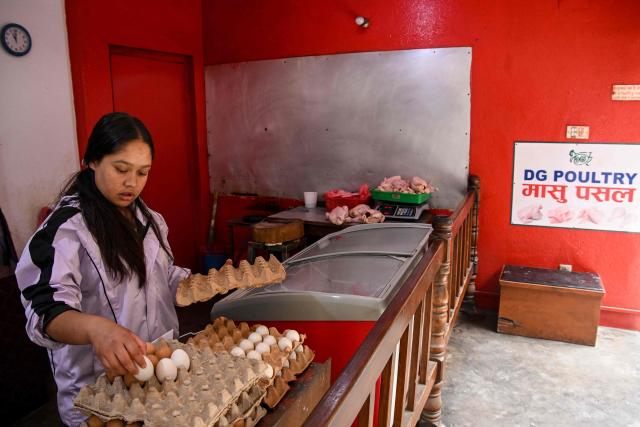 A vendor arranges eggs at a poultry shop in Kathmandu on July 2, 2026 amid a surge in bird flu cases in Nepal. (Photo by Prakash MATHEMA / AFP)