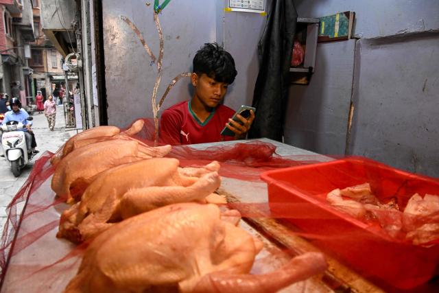 A vendor checks his mobile as he waits for a customer at a poultry shop in Kathmandu on July 2, 2026 amid a surge in bird flu cases in Nepal. (Photo by Prakash MATHEMA / AFP)