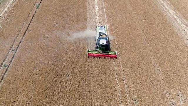 This aerial photograph shows a combine harvester in a field of barley in Angevillers, northeastern France on July 2, 2026. (Photo by Jean-Christophe VERHAEGEN / AFP)