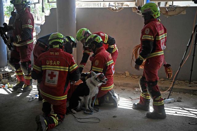 Mexican rescue workers surround Halley, the dog which helped find Hernan Gil, as they enter the garage of the building from which he was rescued in Catia La Mar, La Guaira State, Venezuela on July 2, 2026, eight days after twin earthquakes. Hundreds of rescuers in Venezuela cheered and embraced on July 2, 2026 after pulling 43-year-old Hernan Gil from the ruins of a collapsed building eight days after deadly twin earthquakes, AFP journalists witnessed. (Photo by Federico PARRA / AFP)