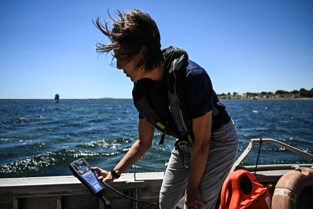 A scientific researcher analyses the temperature and oxygen levels of the water of the Etang de Thau during a media day organised by French Research Institute for Exploitation of the Sea (Ifremer) near Sete, southern France, on July 2, 2026. The world's oceans just experienced their hottest June on record and could set fresh highs in the months ahead as El Nino and climate change drive temperatures even higher, scientists said on July 1. (Photo by Gabriel BOUYS / AFP)