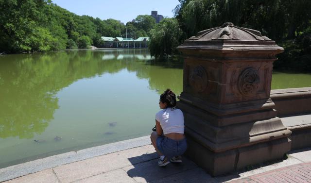 A woman sits in a small corner of shade along the Lake in Central Park during a heatwave in New York City on July 2, 2026. Blistering temperatures and humidity gripped swaths of the United States on July 1, with the worst yet to come for the densely populated East Coast as the nation co-hosts the World Cup and prepares to celebrate its 250th birthday. "Heat dome" conditions -- in which high-pressure systems trap warm air like the lid on a pot -- persisted over the Midwest and South and were moving east, with some 46 million people under heat alerts. (Photo by TIMOTHY A. CLARY / AFP)
