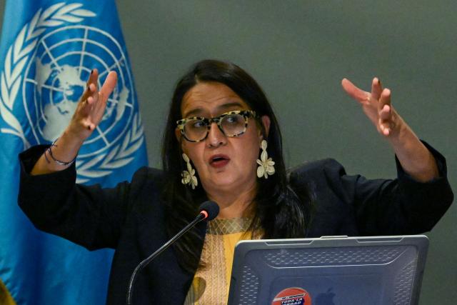 UN's Working Group on Enforced or Involuntary Disappearances expert Ana Lorena Delgadillo, speaks during a press conference at the end of the group's official visit in Guatemala City on July 2, 2026. During the mission, the delegation met with government officials, judicial authorities, civil society organizations and relatives of disappeared persons to assess the country's efforts to address enforced disappearances and advance truth, justice, reparation and guarantees of non-recurrence. (Photo by Johan ORDONEZ / AFP)