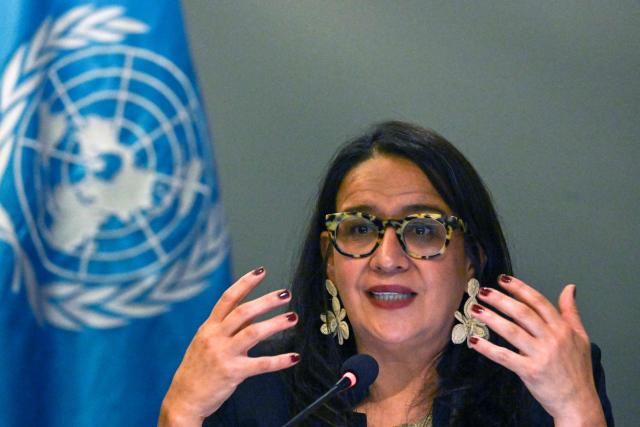 UN's Working Group on Enforced or Involuntary Disappearances expert Ana Lorena Delgadillo, speaks during a press conference at the end of the group's official visit in Guatemala City on July 2, 2026. During the mission, the delegation met with government officials, judicial authorities, civil society organizations and relatives of disappeared persons to assess the country's efforts to address enforced disappearances and advance truth, justice, reparation and guarantees of non-recurrence. (Photo by Johan ORDONEZ / AFP)