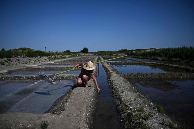French salt maker Annabelle Poinot harvests salt flower forming a thin crust on the surface of seawater drained through the basins of a salt marsh in Chateau-d'Olйron, on the Oleron Island, western France on June 17, 2026. The profession of salt worker, which disappeared from Olйron Island in the 1980s, was reintroduced with the support of local authorities because salt marshes, as “buffer” zones, can absorb part of the marine flooding, which is becoming increasingly frequent with climate change. (Photo by Christophe ARCHAMBAULT / AFP)