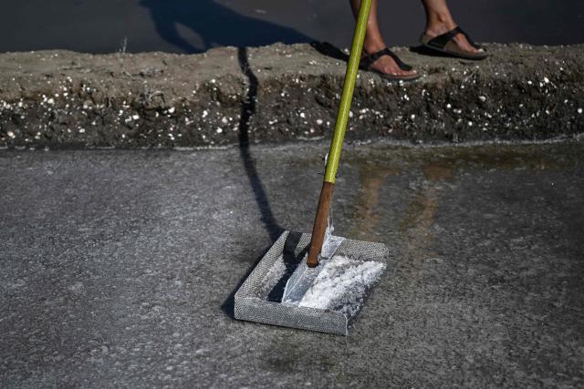 French salt maker Annabelle Poinot harvests salt flower forming a thin crust on the surface of seawater drained through the basins of a salt marsh in Chateau-d'Olйron, on the Oleron Island, western France on June 17, 2026. The profession of salt worker, which disappeared from Olйron Island in the 1980s, was reintroduced with the support of local authorities because salt marshes, as “buffer” zones, can absorb part of the marine flooding, which is becoming increasingly frequent with climate change. (Photo by Christophe ARCHAMBAULT / AFP)