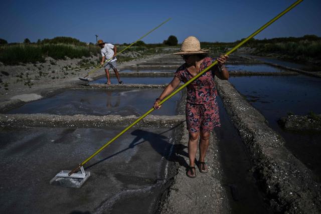 French salt makers Simon (L) and Annabelle Poinot harvest salt flower forming a thin crust on the surface of seawater drained through the basins of a salt marsh in Chateau-d'Olйron, on the Oleron Island, western France on June 17, 2026. The profession of salt worker, which disappeared from Olйron Island in the 1980s, was reintroduced with the support of local authorities because salt marshes, as “buffer” zones, can absorb part of the marine flooding, which is becoming increasingly frequent with climate change. (Photo by Christophe ARCHAMBAULT / AFP)