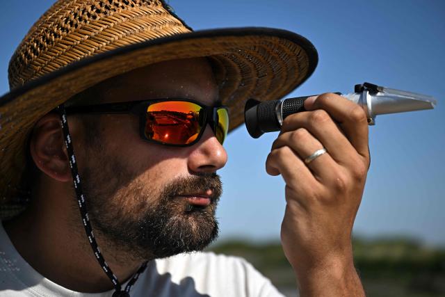 French salt maker Simon Poinot uses a refractometer to check the salinity of seawater from the basin of a salt marsh in Chateau-d'Olйron, on the Oleron Island, south-western France on June 17, 2026. The profession of salt worker, which disappeared from Olйron Island in the 1980s, was reintroduced with the support of local authorities because salt marshes, as “buffer” zones, can absorb part of the marine flooding, which is becoming increasingly frequent with climate change. (Photo by Christophe ARCHAMBAULT / AFP)