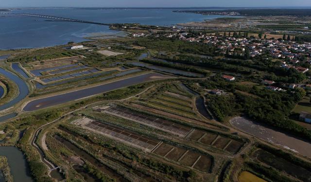 This aerial photograph shows salt marshes (bottom) in Chateau-d'Olйron, on the Oleron Island, western France on June 17, 2026. The profession of salt worker, which disappeared from Olйron Island in the 1980s, was reintroduced with the support of local authorities because salt marshes, as “buffer” zones, can absorb part of the marine flooding, which is becoming increasingly frequent with climate change. (Photo by Christophe ARCHAMBAULT / AFP)