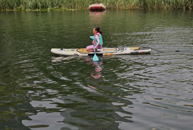 A girl rows on a paddleboard on the Liangma River during summer in Beijing on July 3, 2026. (Photo by ADEK BERRY / AFP)