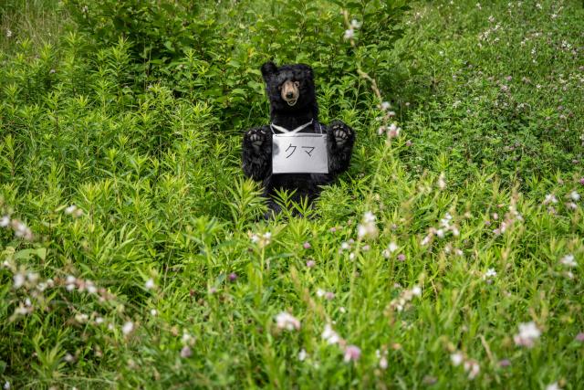 A stuffed bear used as a target stands in a bush during an emergency response drill for bear and other wildlife intrusions, in Isehara, Kanagawa Prefecture on July 3, 2026. (Photo by Yuichi YAMAZAKI / AFP)