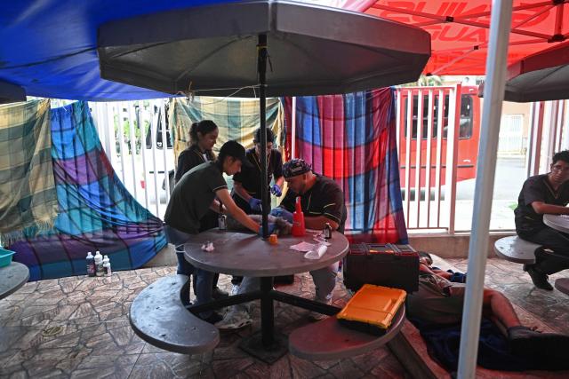 Veterinarians tend a dog at a makeshift veterinary station set up in a McDonald's restaurant operating as a medical care center following twin earthquakes in Caraballeda, La Guaira, Venezuela, on July 3, 2026. The death toll from Venezuela's twin earthquakes has risen to 2,595, Interim President Delcy Rodriguez said on July 2. (Photo by Juan BARRETO / AFP)