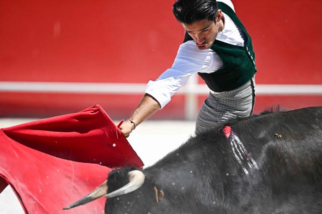 EDITORS NOTE: Graphic content / French matador Nino Julian performs a pass during a tienta in Boujan-sur-Libron, near Beziers, Southern France on July 4, 2026. A tienta de toros (more commonly called tienta) is a practice within bull breeding, is a test carried out on a ranch to evaluate the cows’ behaviour, nobility, strength, and way of charging are tested. This test serve to select the mothers of future fighting bulls. (Photo by Gabriel BOUYS / AFP)