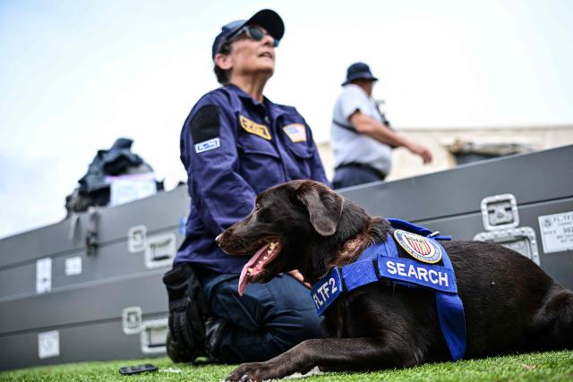 EDITORS NOTE: Graphic content / Silvya Arango of the Rescue Florida Task Force 2 team is seen with her labrador retriever dog Sisu, who participated in the rescue works, at a camp in Maiquetia, La Guaira state, Venezuela, on July 4, 2026, ten days after twin earthquakes. With little hope of finding loved ones alive, frustrated families of those affected by Venezuela's double earthquakes clamor for help to recover their loved one's bodies as uncertainty grows over the death toll from the tragedy. (Photo by MARTIN BERNETTI / AFP)