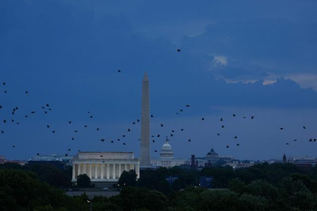 Birds fly over Washington, DC as thunderstorms sweep through the area and force evacuations during the “Salute to America” Independence Day celebration on the National Mall in Washington, DC, on July 4, 2026. The nation is marking the 250th anniversary of the United States Declaration of Indpendence. (Photo by Ken Cedeno / AFP)