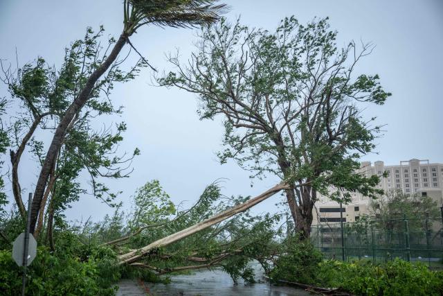 A fallen tree blocks a road during Super Typhoon Bavi in Guam on July 6, 2026. A "super typhoon" with the force of a category-five hurricane tore through the US Pacific territories of Northern Marianas and Guam on July 6, with authorities saying they had received reports of "major" damage on the small island of Rota. (Photo by Yuichi YAMAZAKI / AFP)