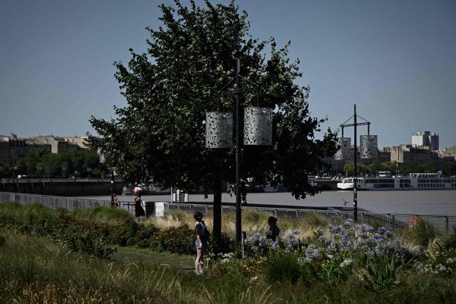 Two women sit in the shade of a tree during a summer heatwave in central Bordeaux, south-western France, on July 6, 2026. For the third time in six weeks, France is facing a surge in temperatures, with three-quarters of the country under a heatwave alert on July 7, 2026, just a few days after a historic heatwave. (Photo by Philippe LOPEZ / AFP)