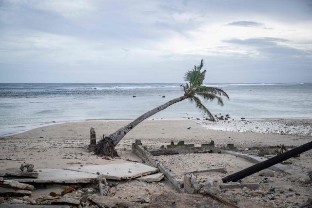 A fallen tree is seen at a beach after strong winds brought by Typhoon Bavi in Guam on July 7, 2026. (Photo by Yuichi YAMAZAKI / AFP)