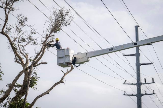 A worker removes a tree tangled in power lines after strong winds brought by Typhoon Bavi in Guam on July 7, 2026. (Photo by Yuichi YAMAZAKI / AFP)