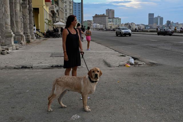 A woman stands with a dog along a street during a nationwide blackout in Havana on July 6, 2026. Cuba on July 6 suffered its third nationwide power outage since the start of the year, the state electricity company said. The impoverished island was already struggling to keep the lights on before US President Donald Trump in January imposed an oil blockade, which has depleted the already dwindling supply of fuel for Cuba's power plants. (Photo by YAMIL LAGE / AFP)