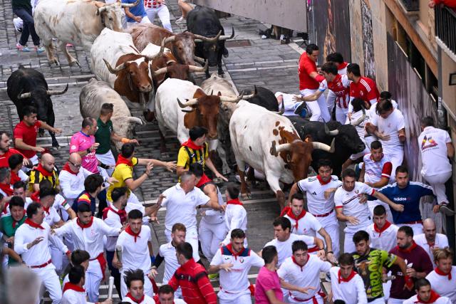 Participants run ahead of bulls from the Fuente Ymbro bull ranch during the first running of the bulls of the San Fermin festival in Pamplona, northern Spain, on July 7, 2026. Thousands of people every year attend the week-long festival and its famous 'encierros', or running of the bulls, in which six bulls are released at 8:00 a.m. evey day to run from their corral to the bullring through the narrow streets of the old town over an 850 meters (yards) course while runners ahead of them try to stay close to the bulls without falling over or being gored. (Photo by ANDER GILLENEA / AFP)