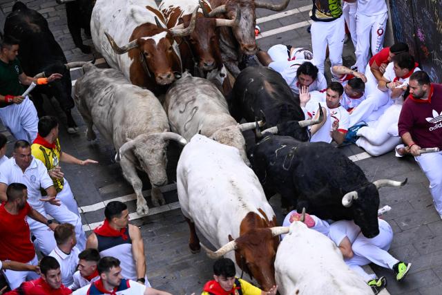 Participants fall while trying to run ahead of bulls from the Fuente Ymbro bull ranch during the first running of the bulls of the San Fermin festival in Pamplona, northern Spain, on July 7, 2026. Thousands of people every year attend the week-long festival and its famous 'encierros', or running of the bulls, in which six bulls are released at 8:00 a.m. evey day to run from their corral to the bullring through the narrow streets of the old town over an 850 meters (yards) course while runners ahead of them try to stay close to the bulls without falling over or being gored. (Photo by ANDER GILLENEA / AFP)
