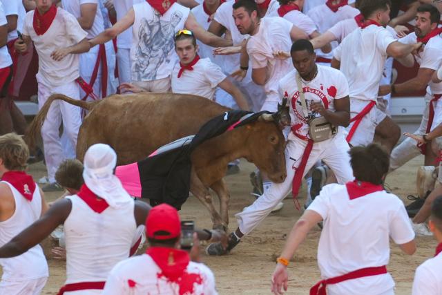 A heifer, or young cow, rams into a participant in the bullring as participants run and try to dodge the young animal after the first running of the bulls of the San Fermin festival in Pamplona, northern Spain, on July 7, 2026. Thousands of people every year attend the week-long festival and its famous 'encierros', or running of the bulls, in which six bulls are released at 8:00 a.m. evey day to run from their corral to the bullring through the narrow streets of the old town over an 850 meters (yards) course while runners ahead of them try to stay close to the bulls without falling over or being gored. (Photo by Cesar MANSO / AFP)