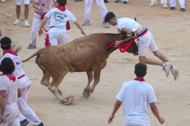 A heifer, or young cow, rams into a participant in the bullring as participants run and try to dodge the young animal after the first running of the bulls of the San Fermin festival in Pamplona, northern Spain, on July 7, 2026. Thousands of people every year attend the week-long festival and its famous 'encierros', or running of the bulls, in which six bulls are released at 8:00 a.m. evey day to run from their corral to the bullring through the narrow streets of the old town over an 850 meters (yards) course while runners ahead of them try to stay close to the bulls without falling over or being gored. (Photo by Cesar MANSO / AFP)