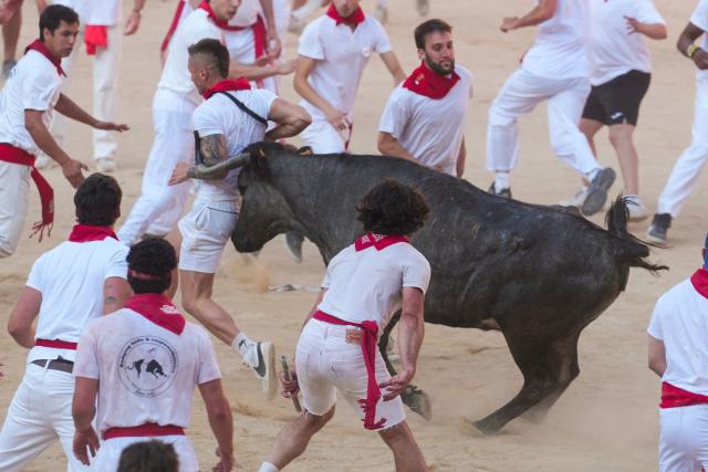 A heifer, or young cow, rams into a participant in the bullring as participants run and try to dodge the young animal after the first running of the bulls of the San Fermin festival in Pamplona, northern Spain, on July 7, 2026. Thousands of people every year attend the week-long festival and its famous 'encierros', or running of the bulls, in which six bulls are released at 8:00 a.m. evey day to run from their corral to the bullring through the narrow streets of the old town over an 850 meters (yards) course while runners ahead of them try to stay close to the bulls without falling over or being gored. (Photo by Cesar MANSO / AFP)