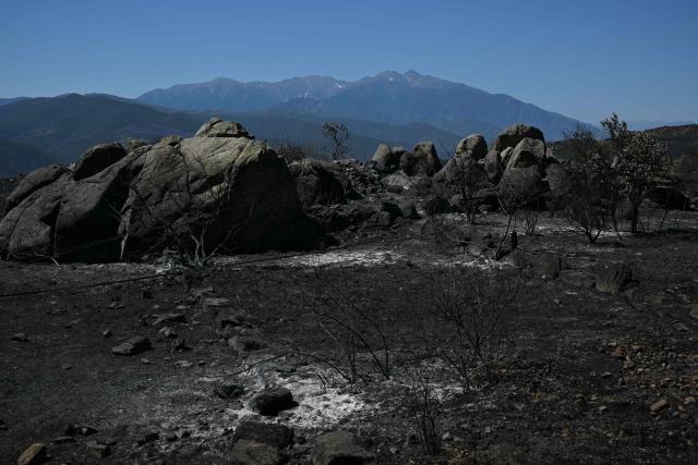 This photograph shows a burnt area as a wildfire rages in the southern France department of Pyrenees-Orientales near the town of Ille-sur-Tet, near Perpignan, on July 7, 2026. The wildfire in the Pyrenees-Orientales, which has already burned 4,900 hectares not far from Perpignan but did not spread overnight—thanks in large part to backfires set by firefighters—has led to the evacuation of a total of 12,000 people, the department’s prefect said on July 7, 2026. (Photo by Lionel BONAVENTURE / AFP)