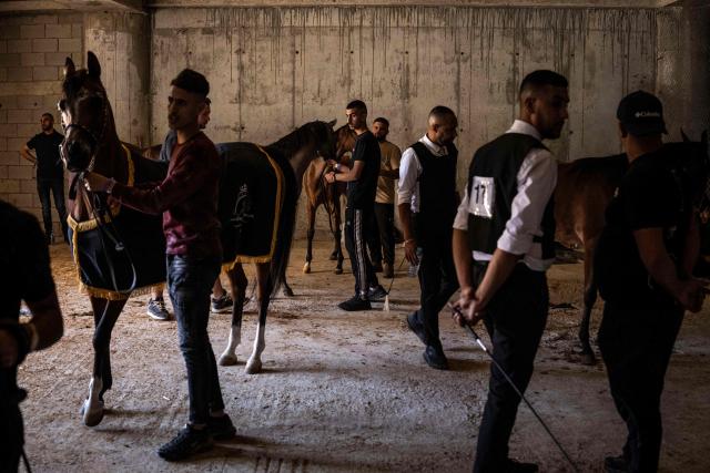 Palestinian handlers of competing horses and stable hands wait to present their horses during a beauty contest at the Rawabi Palestine Arabians show in Rawabi, in the Israeli-occupied West Bank, on June 25, 2026. As open land becomes increasingly scarce amid expanding Israeli settlement construction in the occupied West Bank, horse culture has emerged as one of the rare forms of recreation that still draws Palestinians together, from urban neighbourhoods to rural villages.
For Palestinians, horses are entwined with identity, heritage and a sense of belonging to the land. Poems, songs and graffiti celebrate horses and horsemen alike. Arabian horses are particularly popular in the Palestinian territories, where young men breed them for prestige, racing, and beauty contests. (Photo by John WESSELS / AFP)