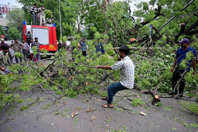 State fire service personnel clear uprooted trees from a vehicle parking area following heavy rainfall at the Lal Darwaja marketplace in Ahmedabad on July 8, 2026. (Photo by Shammi MEHRA / AFP)