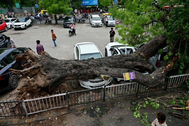A passer-by looks at parked vehicles damaged by uprooted trees following heavy rainfall at the Lal Darwaja marketplace in Ahmedabad on July 8, 2026. (Photo by Shammi MEHRA / AFP)