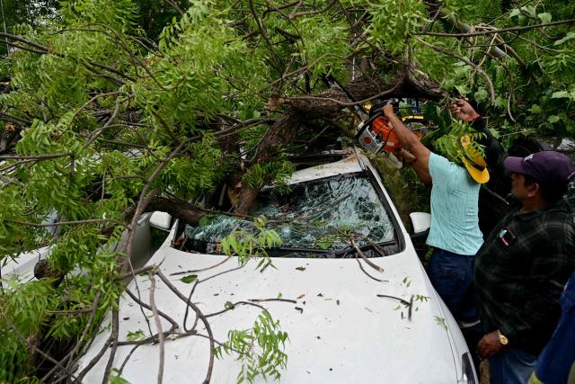 State fire service personnel clear uprooted trees from a vehicle parking area following heavy rainfall at the Lal Darwaja marketplace in Ahmedabad on July 8, 2026. (Photo by Shammi MEHRA / AFP)