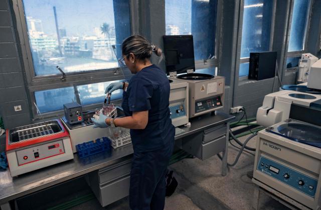 A woman holds blood samples at the laboratory of the Hermanos Ameijeiras Clinical Surgical Hospital in Havana on July 2, 2026. In the midst of one of the worst economic crises Cuba has experienced in decades, the health system is striving to maintain its services and priority programmes despite medicine and supply shortages, technological deterioration, staff shortages, prolonged power cuts and the impact of the United States sanctions. (Photo by YAMIL LAGE / AFP)