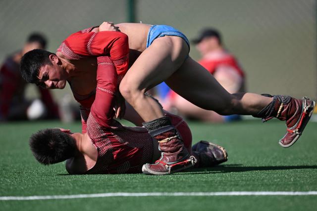 This photo taken on June 24, 2026 shows Mongolian wrestlers sparring at a training camp ahead of the Naadam Festival on the outskirts of Ulaanbaatar. The whistle blows, sending dozens of hulking wrestlers chasing a football in the Mongolian grasslands -- a World Cup twist in their gruelling training for one of the country's oldest sporting traditions. (Photo by Adek BERRY / AFP) / To go with 'MONGOLIA-LIFESTYLE-TRADITION-WRESTLING,FOCUS' by Mungunsor Purevsuren