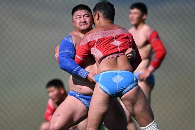 This photo taken on June 24, 2026 shows Mongolian wrestlers sparring at a training camp ahead of the Naadam Festival on the outskirts of Ulaanbaatar. The whistle blows, sending dozens of hulking wrestlers chasing a football in the Mongolian grasslands -- a World Cup twist in their gruelling training for one of the country's oldest sporting traditions. (Photo by Adek BERRY / AFP) / To go with 'MONGOLIA-LIFESTYLE-TRADITION-WRESTLING,FOCUS' by Mungunsor Purevsuren