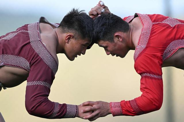 This photo taken on June 24, 2026 shows Mongolian wrestlers sparring at a training camp ahead of the Naadam Festival on the outskirts of Ulaanbaatar. The whistle blows, sending dozens of hulking wrestlers chasing a football in the Mongolian grasslands -- a World Cup twist in their gruelling training for one of the country's oldest sporting traditions. (Photo by Adek BERRY / AFP) / To go with 'MONGOLIA-LIFESTYLE-TRADITION-WRESTLING,FOCUS' by Mungunsor Purevsuren