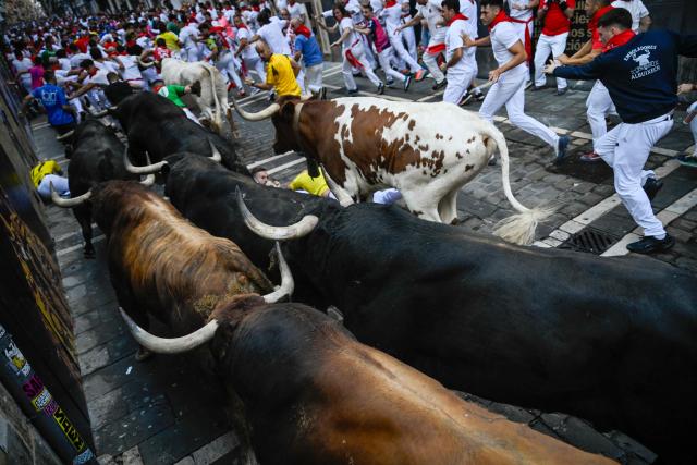 Participants run ahead of bulls from the Victoriano del Rio bull ranch during the third running of the bulls of the San Fermin festival in Pamplona, northern Spain, on July 9, 2026. Thousands of people every year attend the week-long festival and its famous 'encierros', or running of the bulls, in which six bulls are released at 8:00 a.m. evey day to run from their corral to the bullring through the narrow streets of the old town over an 850 meters (yards) course while runners ahead of them try to stay close to the bulls without falling over or being gored. (Photo by ANDER GILLENEA / AFP)