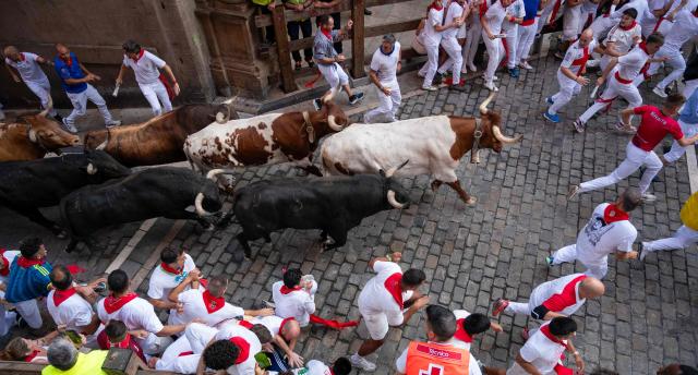 Participants run ahead of bulls from the Victoriano del Rio bull ranch during the third running of the bulls of the San Fermin festival in Pamplona, northern Spain, on July 9, 2026. Thousands of people every year attend the week-long festival and its famous 'encierros', or running of the bulls, in which six bulls are released at 8:00 a.m. evey day to run from their corral to the bullring through the narrow streets of the old town over an 850 meters (yards) course while runners ahead of them try to stay close to the bulls without falling over or being gored. (Photo by JORGE GUERRERO / AFP)